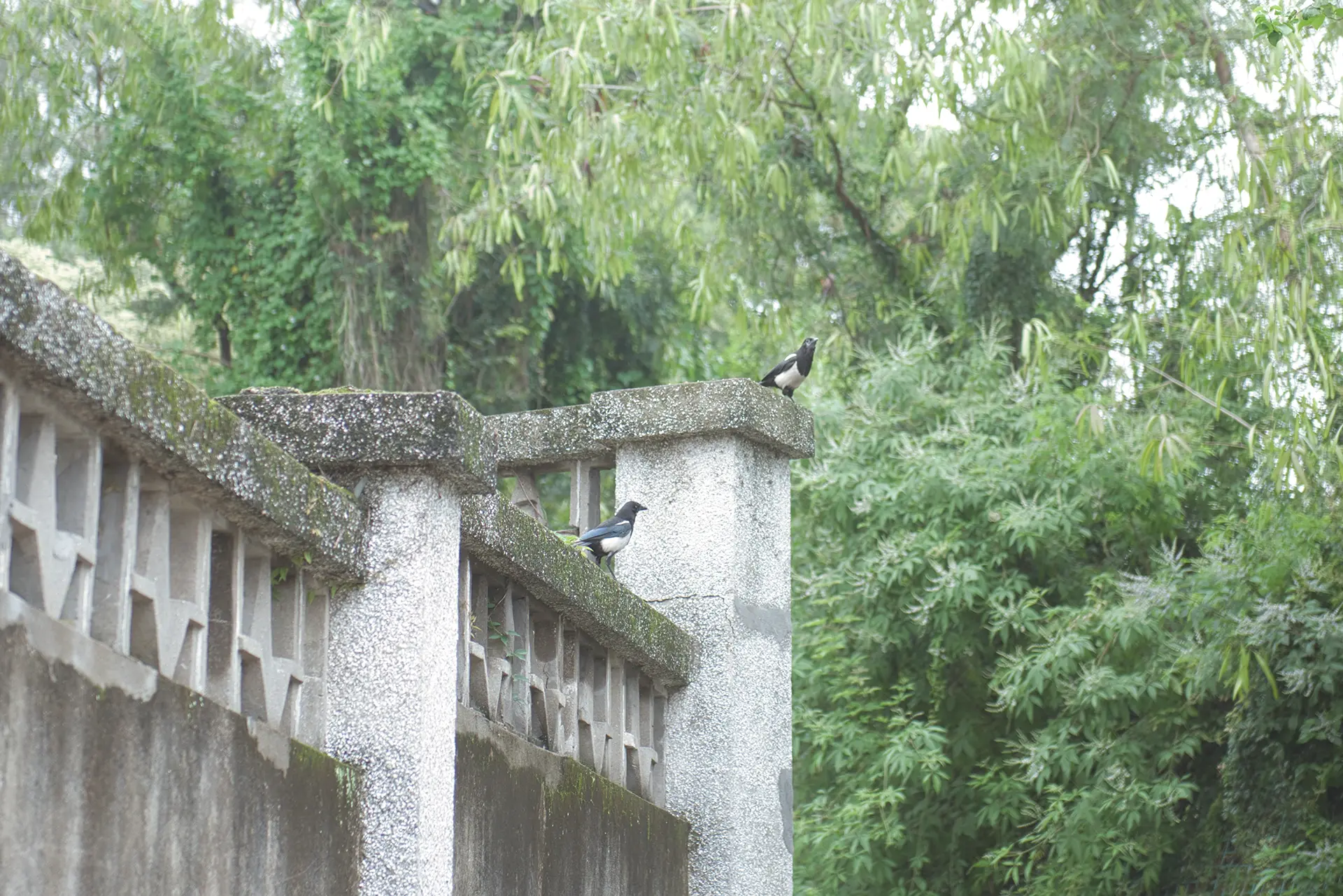 厦门 · 鼓浪屿