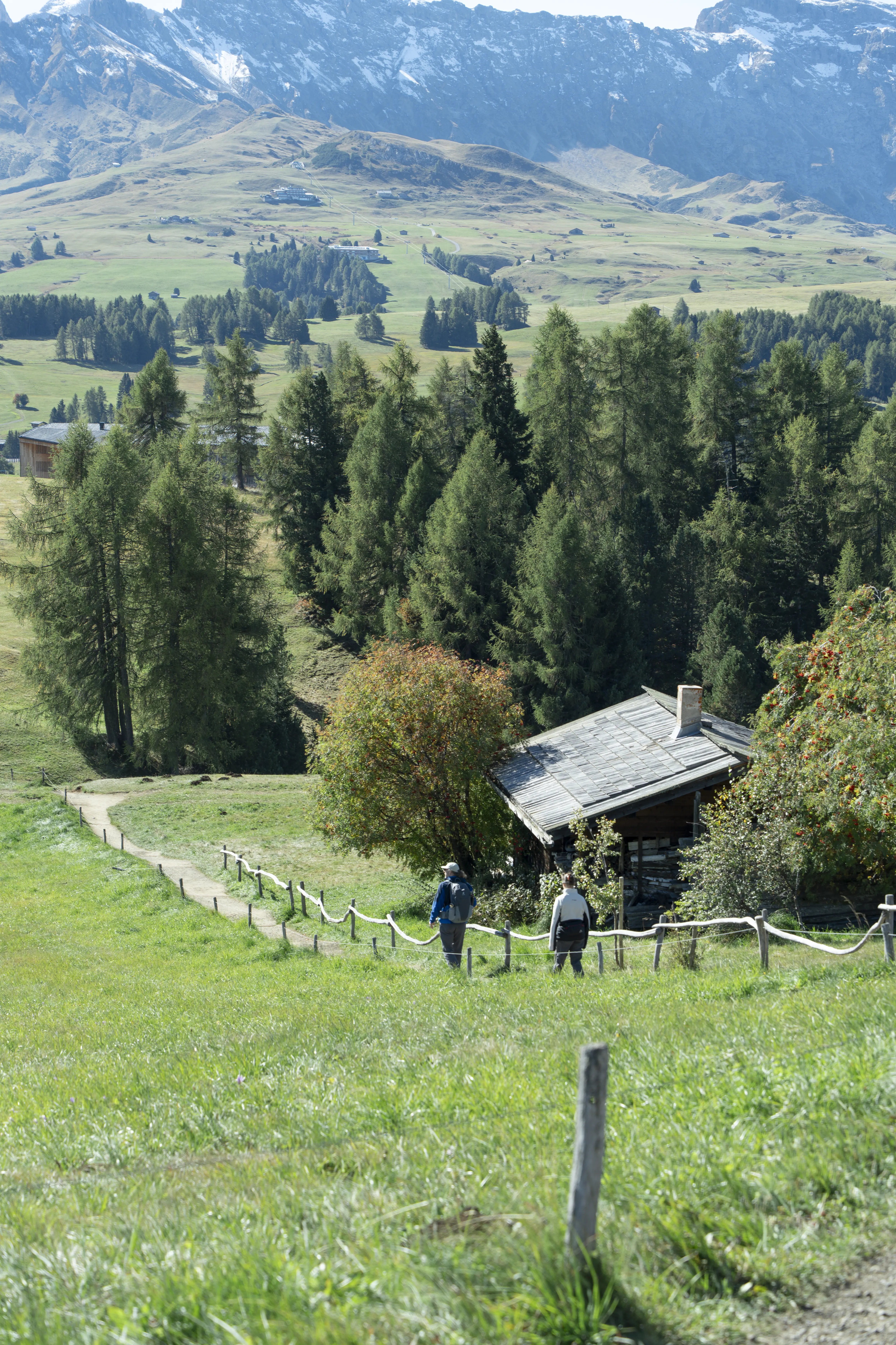 奥尔蒂塞伊 · 休斯高地
