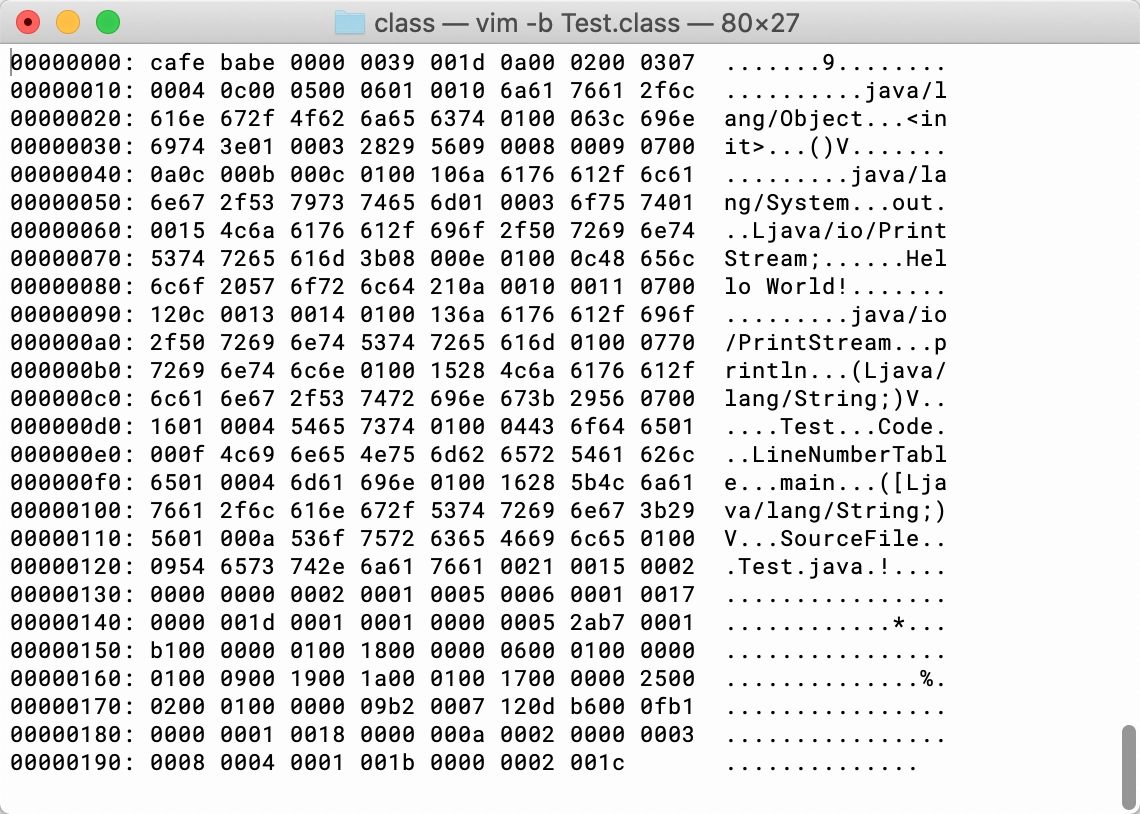 vim -b Test.class